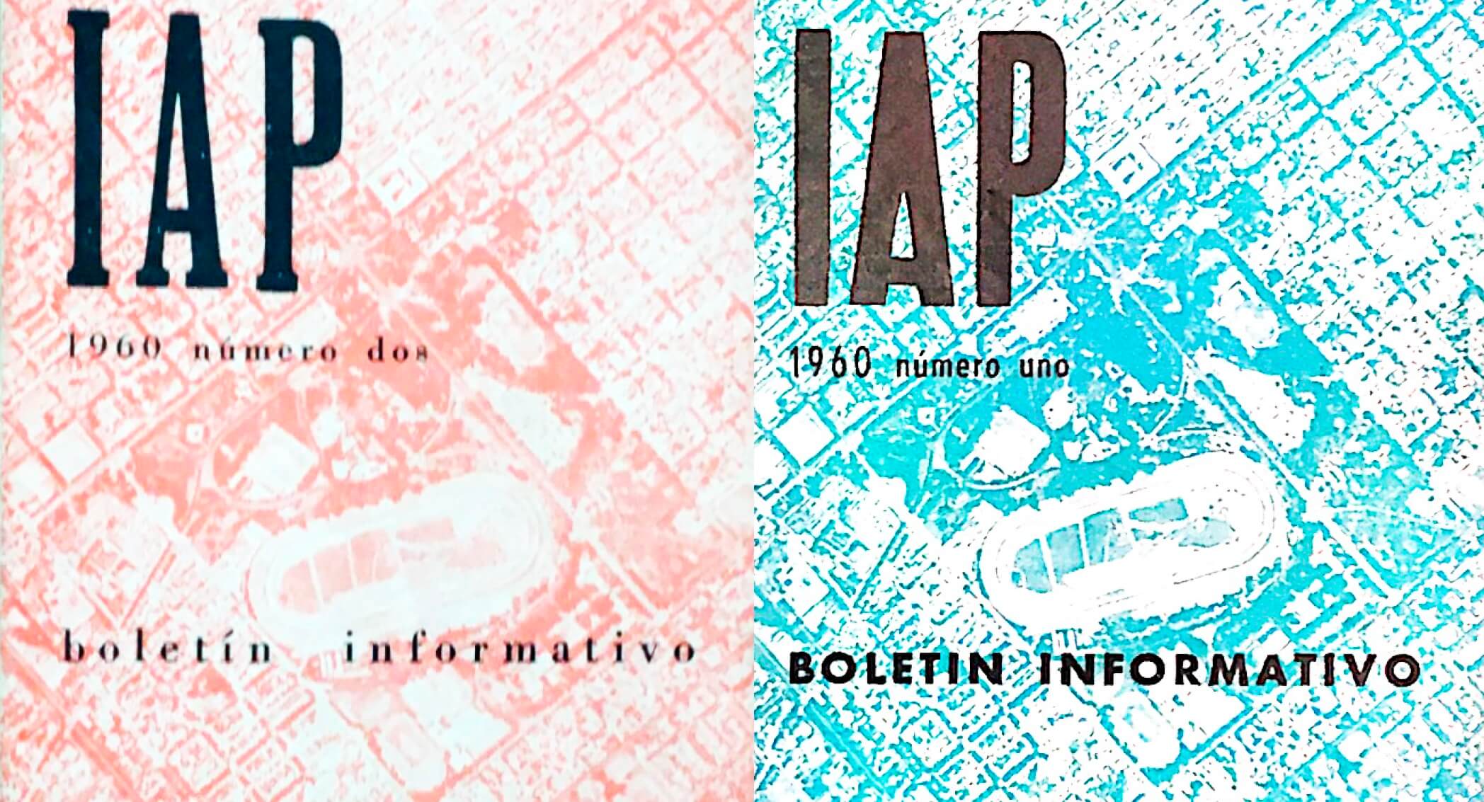 boletin informativo IAP